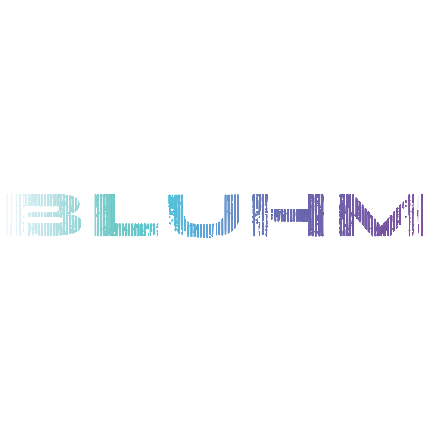 Bluhm Multi Color Logo Transfer